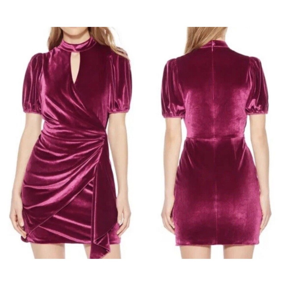 Parker Velvet Artie Mini Dress Size 0 – Maroon High Neck Cocktail Party